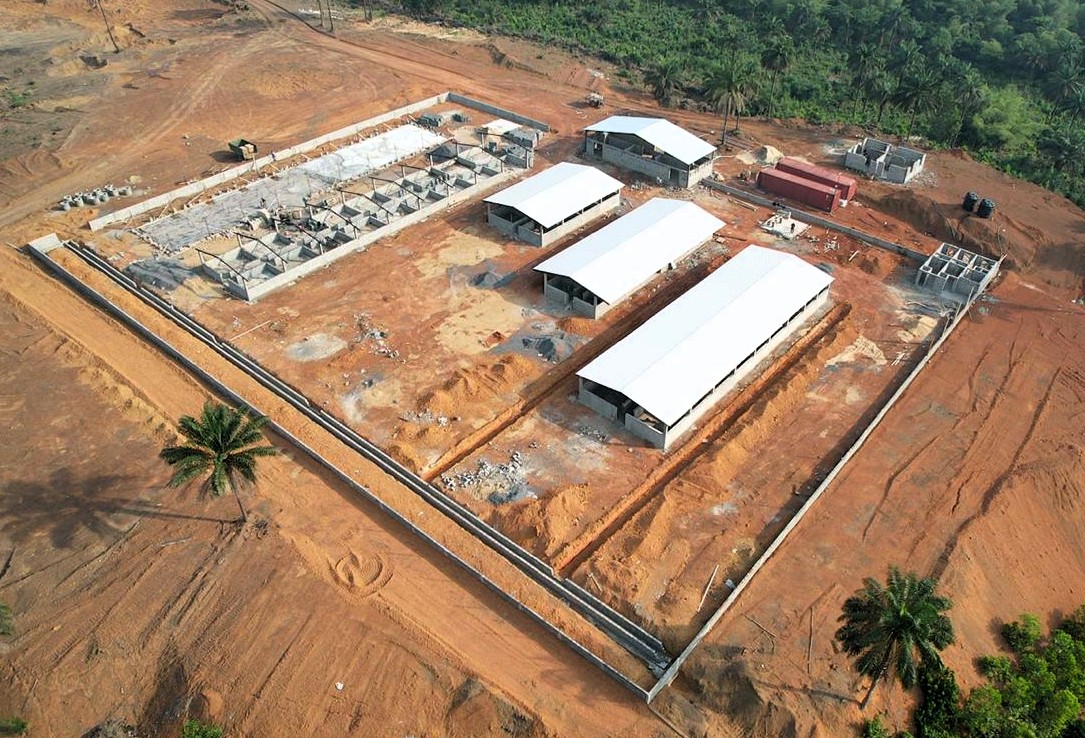 Chantier de construction d1 levage porc