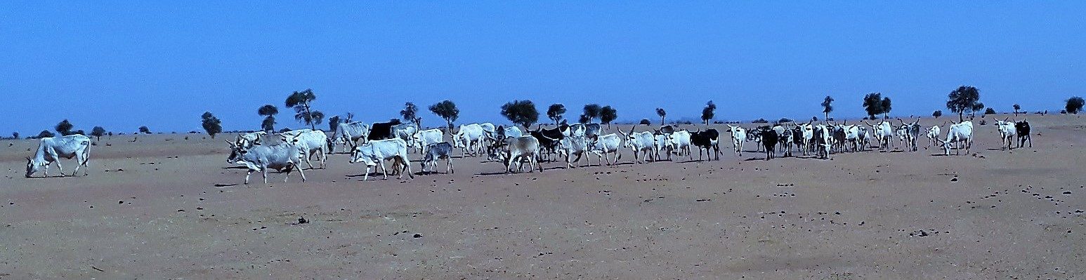 AVe au Sénégal, Mai 2018